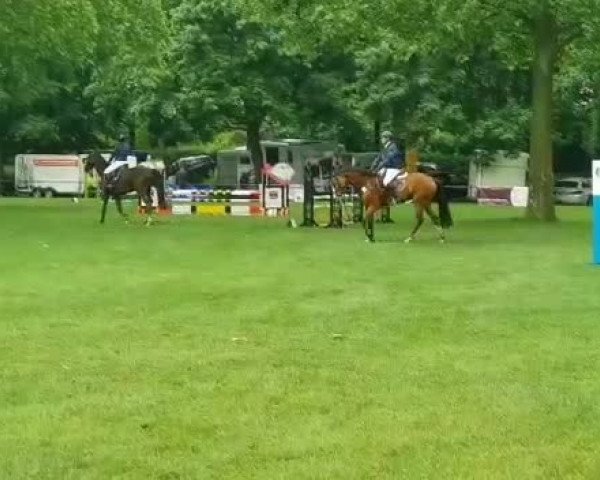 Video von Cachu 3
