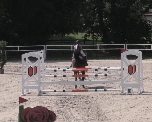 Reitturnier Prussendorf 2023