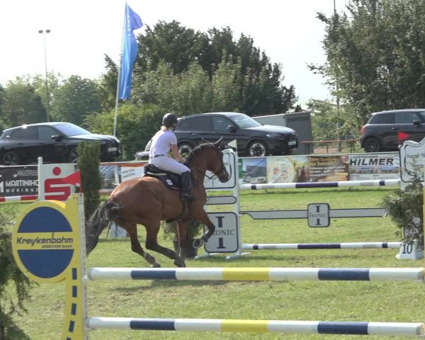 Reitturnier Moringen 2023