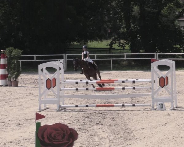 Reitturnier Prussendorf 2023