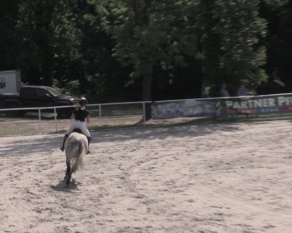 Reitturnier Prussendorf 2023