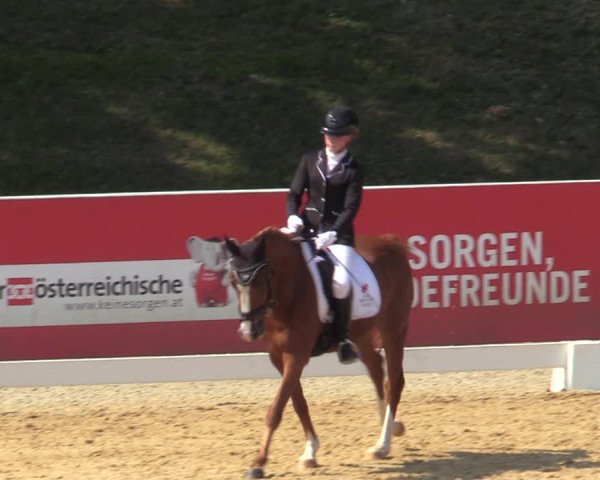 Reitturnier Stadl Paura 2023