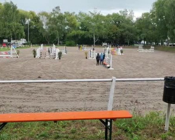 Video von Cachu 3