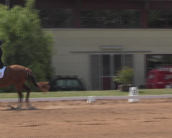 Reitturnier Prussendorf 2023