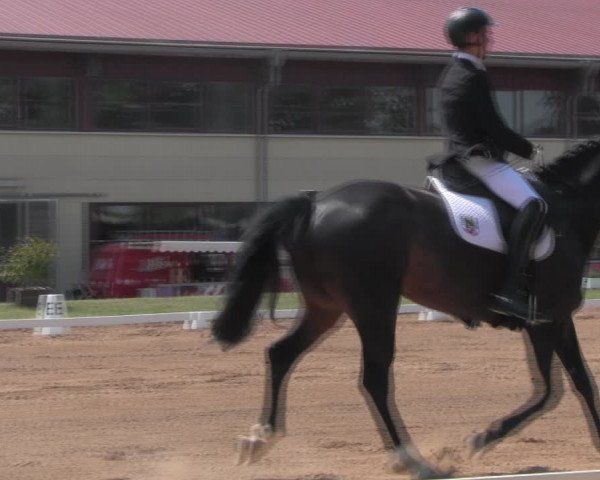 Reitturnier Prussendorf 2023