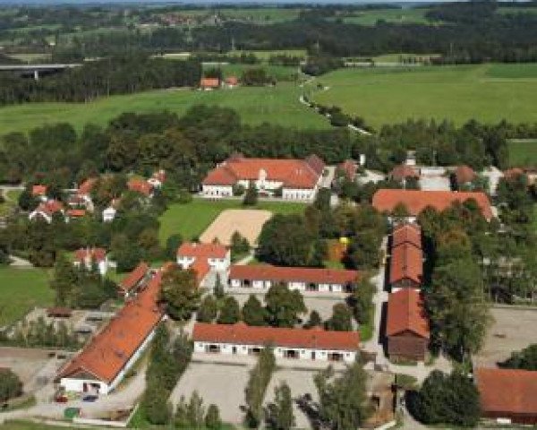 Baysg Bildungszentrum Haupt- und Landgestüt Schwaiganger