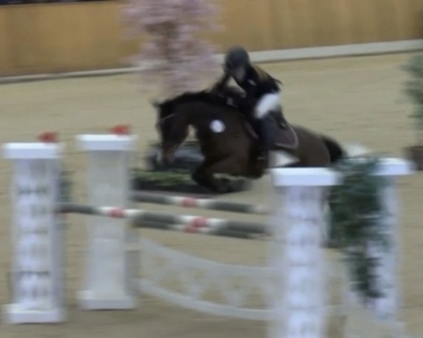 jumper Sunbeam 12 (Estonian Sport, 2012, from Strahlemann)