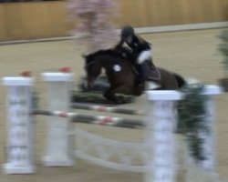 jumper Sunbeam 12 (Estonian Sport, 2012, from Strahlemann)