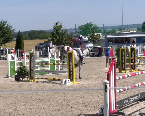 Reitturnier Beromünster 2023