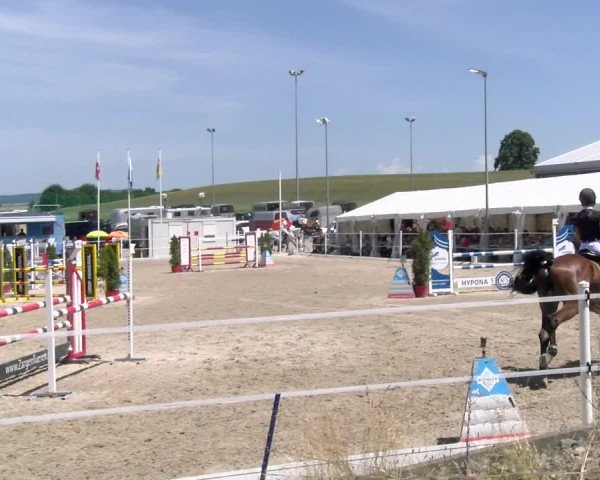 Reitturnier Beromünster 2023