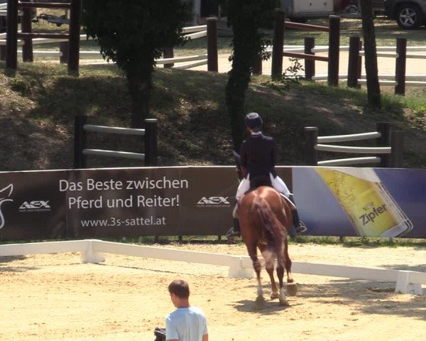 Reitturnier Stadl Paura 2023