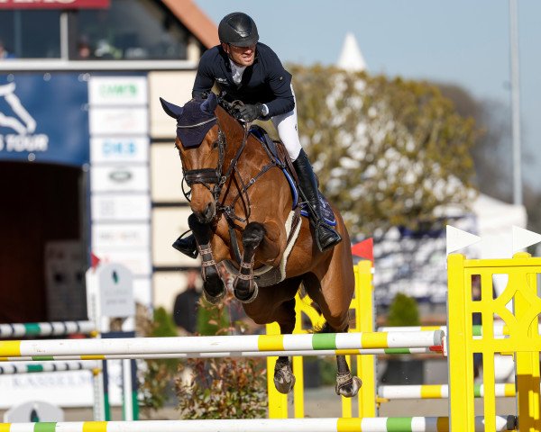 jumper CAPOLONA (Württemberger, 2012, from Catoki)