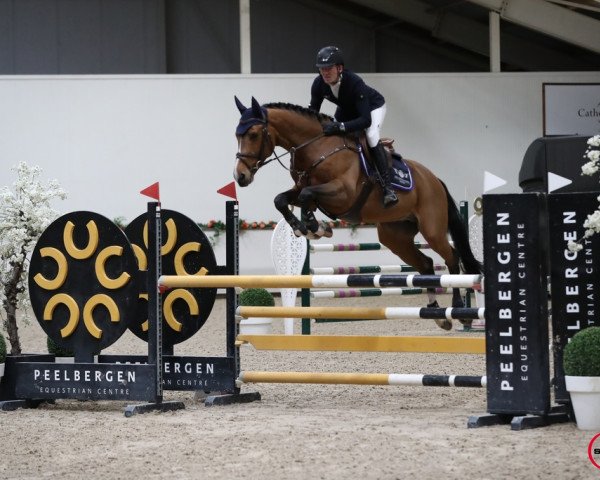 jumper Fiero 18 (Holsteiner, 2017, from For Pleasure)
