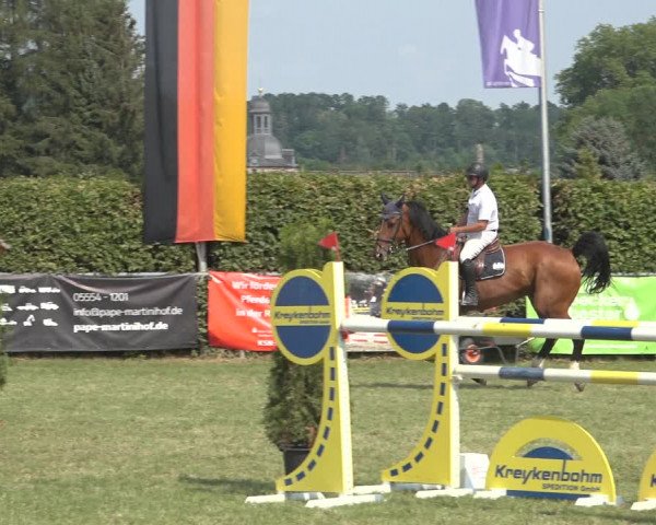 Reitturnier Moringen 2023