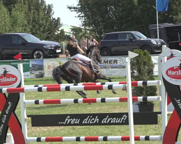 Reitturnier Moringen 2023