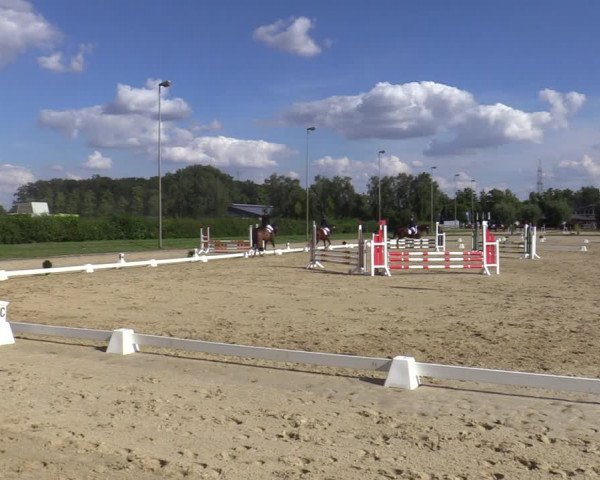 Reitturnier Münster-Roxel 2023