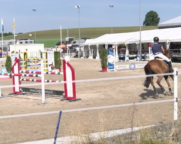 Reitturnier Beromünster 2023