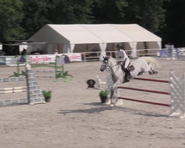 Reitturnier Prussendorf 2023