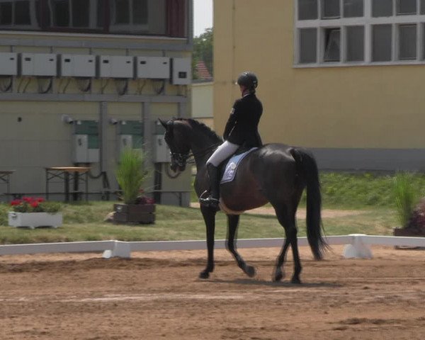Reitturnier Prussendorf 2023