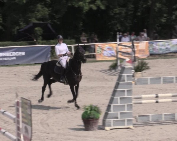 Reitturnier Prussendorf 2023