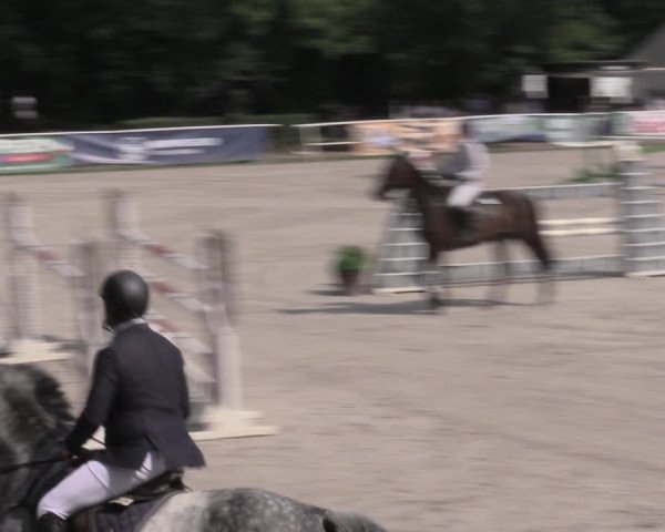 Reitturnier Prussendorf 2023