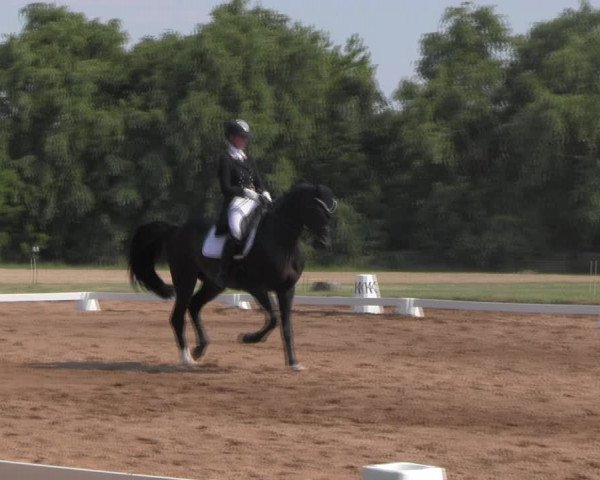 Reitturnier Prussendorf 2023