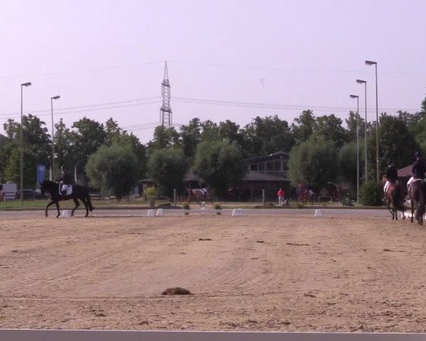 Reitturnier Münster-Roxel 2023
