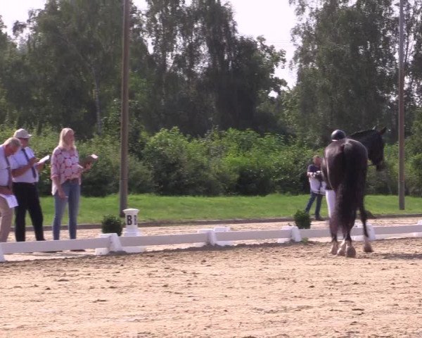 Reitturnier Münster-Roxel 2023