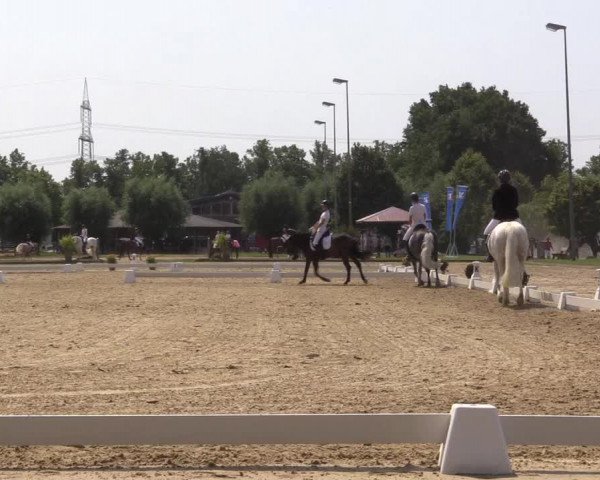 Reitturnier Münster-Roxel 2023