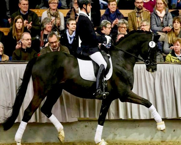 Hendrik Haacke