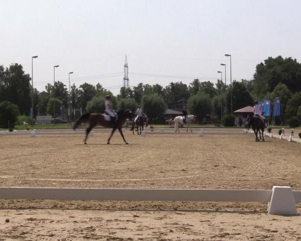 Reitturnier Münster-Roxel 2023