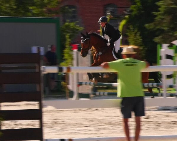 Reitturnier Görlsdorf 2023