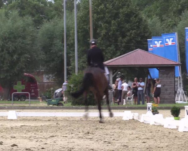 Reitturnier Münster-Roxel 2023