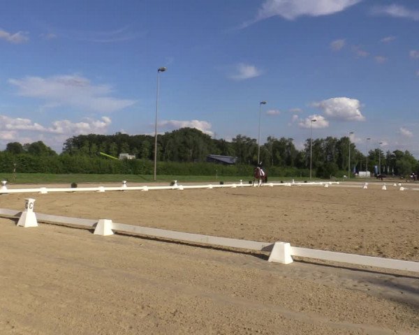 Reitturnier Münster-Roxel 2023