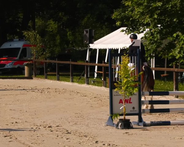 Reitturnier Görlsdorf 2023