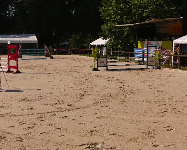 Reitturnier Görlsdorf 2023