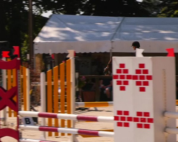 Reitturnier Görlsdorf 2023