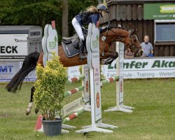 broodmare Bjirmens Ewina (German Riding Pony, 2016, from De Goede Ree's Alwin)