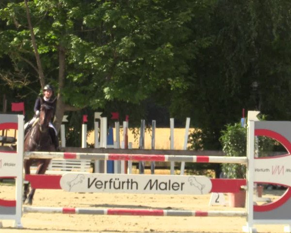 Reitturnier Münster-Roxel 2023