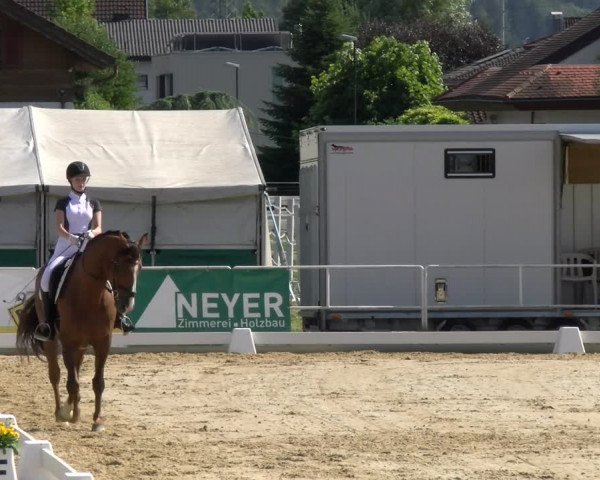 Reitturnier Rankweil 2023