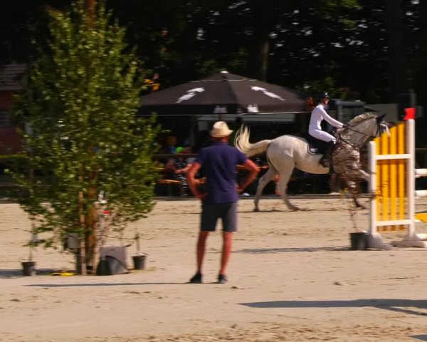 Reitturnier Görlsdorf 2023