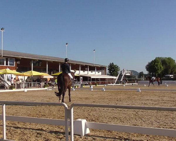 Reitturnier Rankweil 2023
