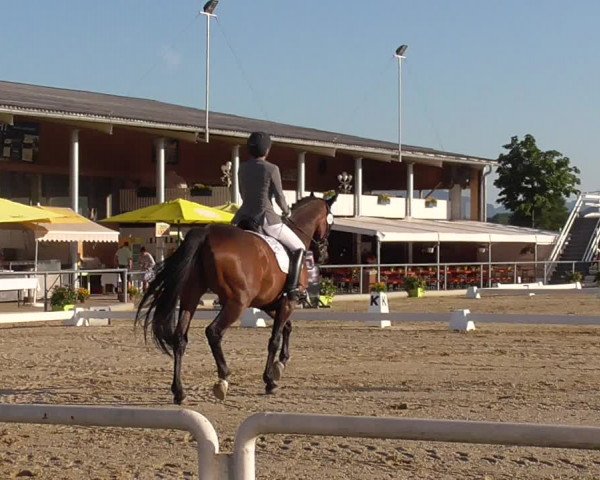 Reitturnier Rankweil 2023