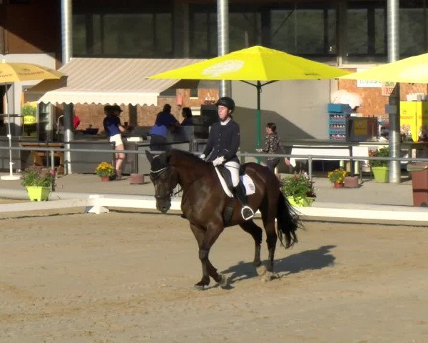 Reitturnier Rankweil 2023