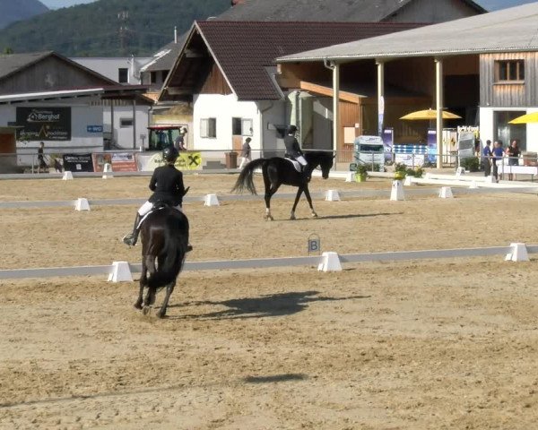 Reitturnier Rankweil 2023