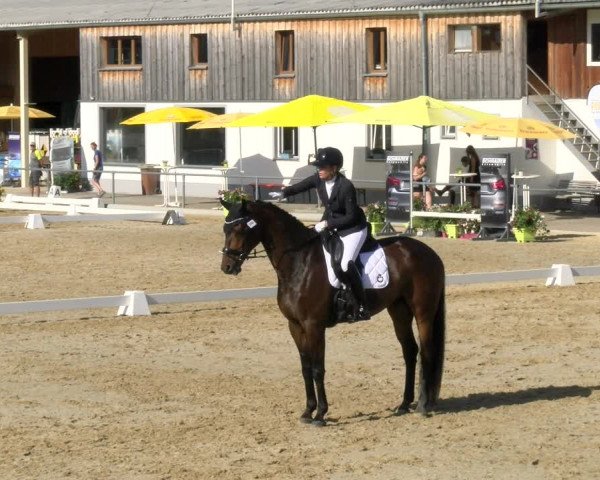 Reitturnier Rankweil 2023