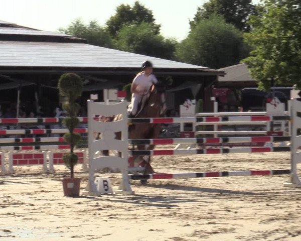 Reitturnier Münster-Roxel 2023