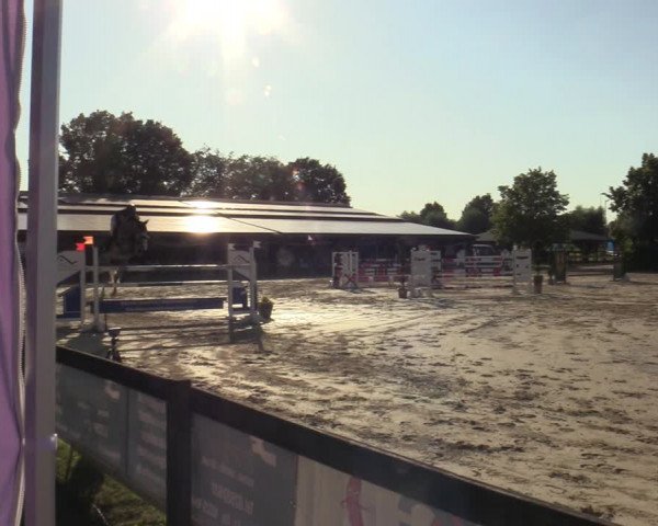 Reitturnier Münster-Roxel 2023