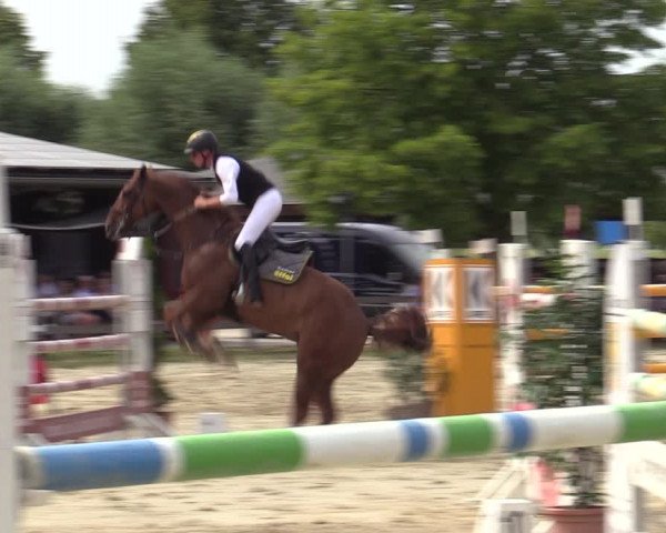 Reitturnier Münster-Roxel 2023