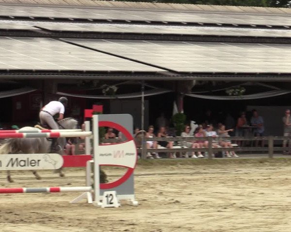 Reitturnier Münster-Roxel 2023